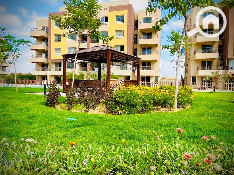 4 WhatsApp Image 2025-03-26 at 3.35. 38 PM. jpeg