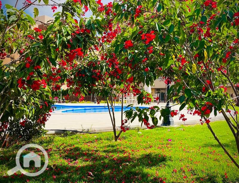 6 WhatsApp Image 2025-03-26 at 3.35. 37 PM. jpeg