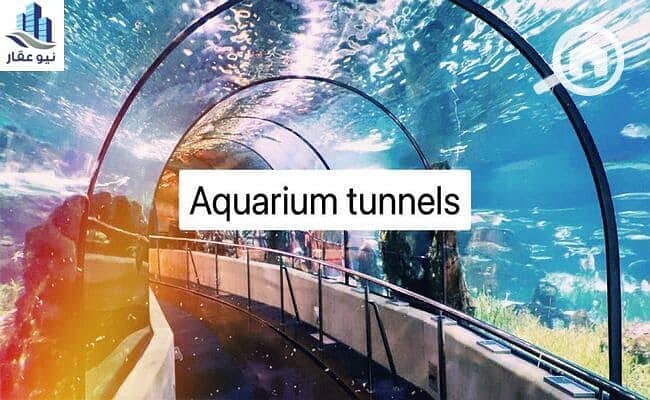 38 WhatsApp-Image-2021-11-27-at-12.05. 56-PM. jpeg