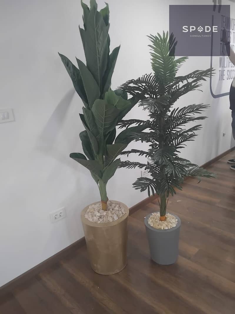 2 WhatsApp Image 2026-01-12 at 2.15. 24 PM (1). jpeg