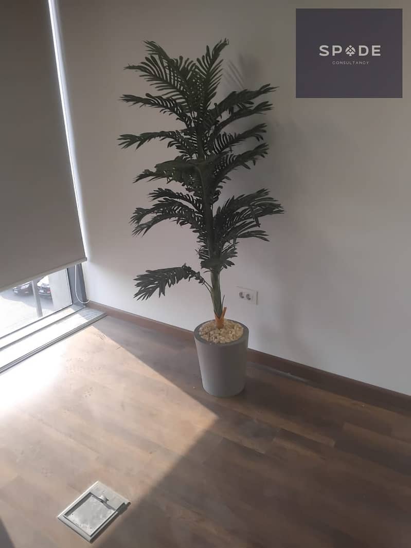 11 WhatsApp Image 2026-01-12 at 2.15. 26 PM (1). jpeg