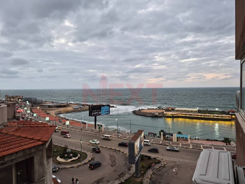 Saba Pasha – Direct Sea View - Widok 2