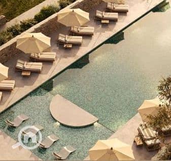 2 Screenshot_12-1-2026_13172_. jpeg