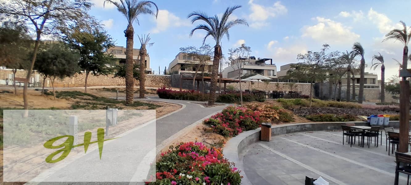 2 20260109_163239. jpg