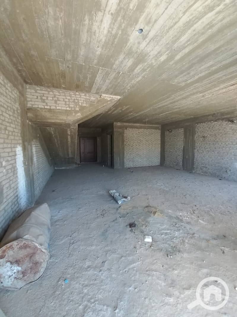 11 428047648_1125611338516180_3153253282240622920_n. jpg