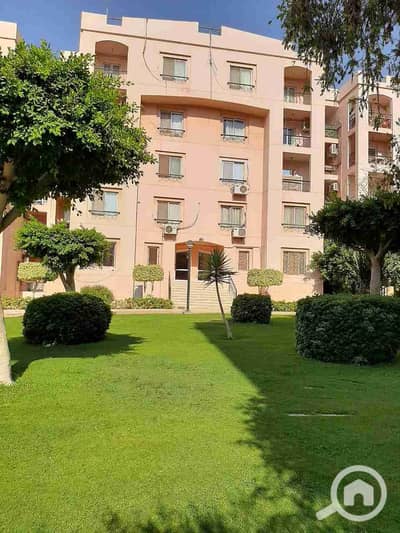 2 Bedroom Flat for Rent in New Cairo, Cairo - 1000321377. jpg