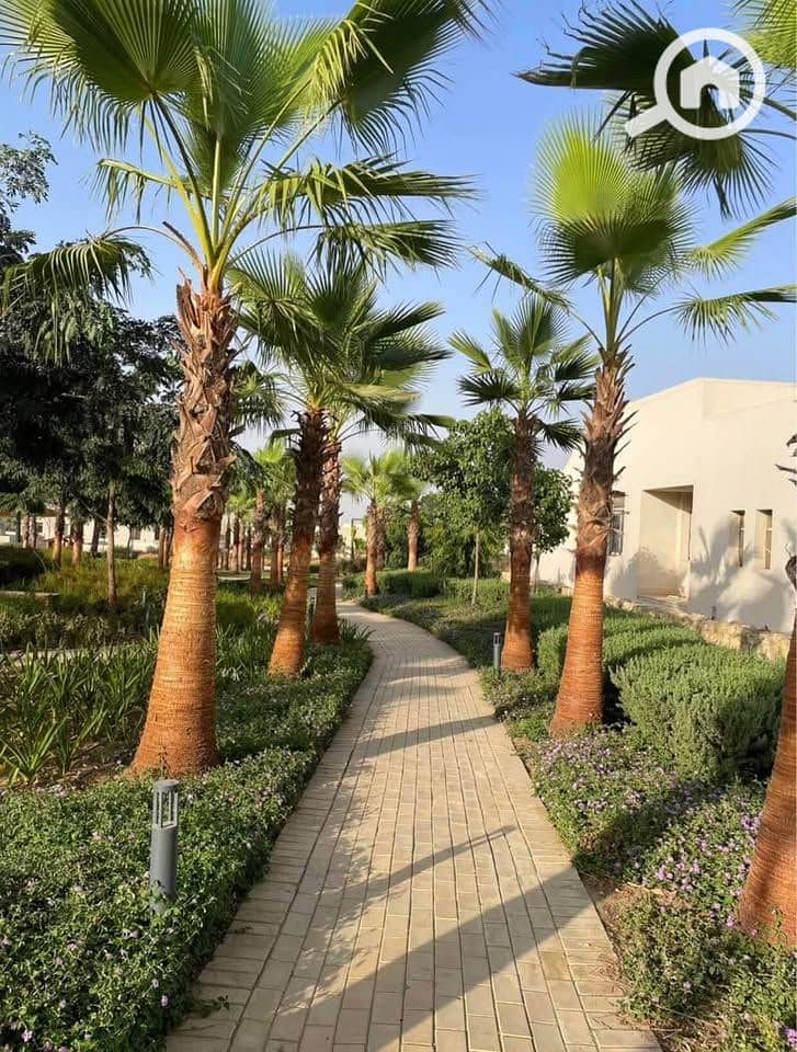 5 524981542_1180386117461485_2144514638248112755_n. jpg