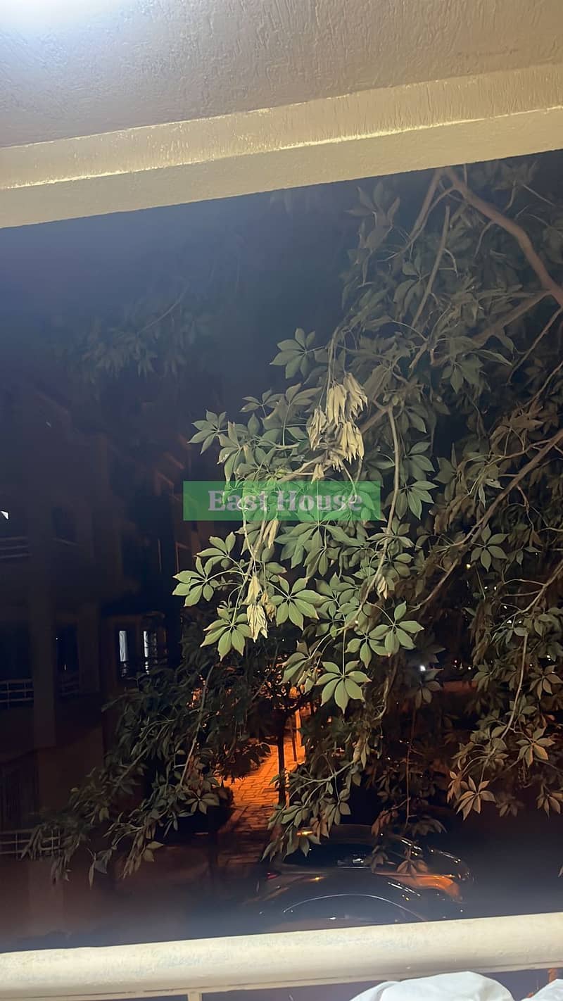 5 WhatsApp Image 2026-01-11 at 19.34. 58 (3). jpeg