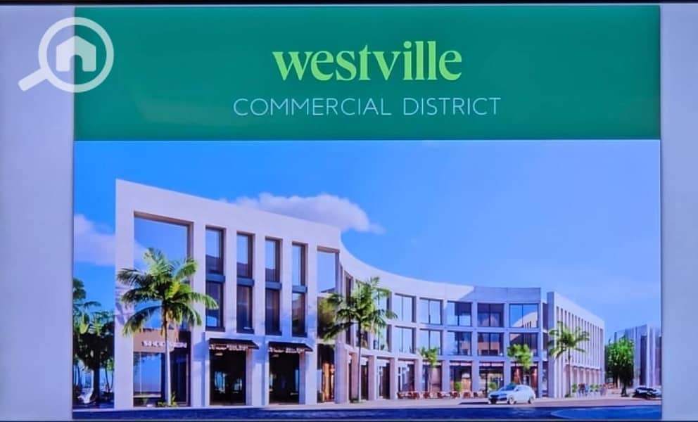 6 1846621c-229a-4714-8c23-1ac9b22fae6c. jpg