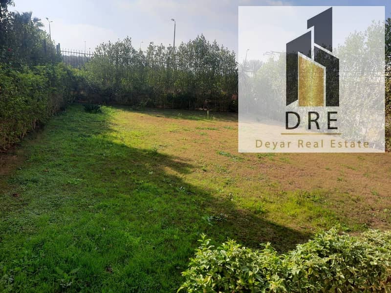 25 c317c9bd-8d4a-4883-9ce1-b848146d4338. jpg