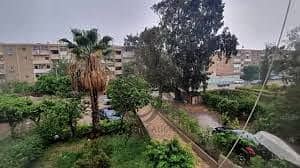 3 WhatsApp Image 2026-01-12 at 2.48. 05 PM (2). jpeg