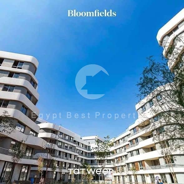 4 597406199_853391277608541_6751817580706468550_n. jpg