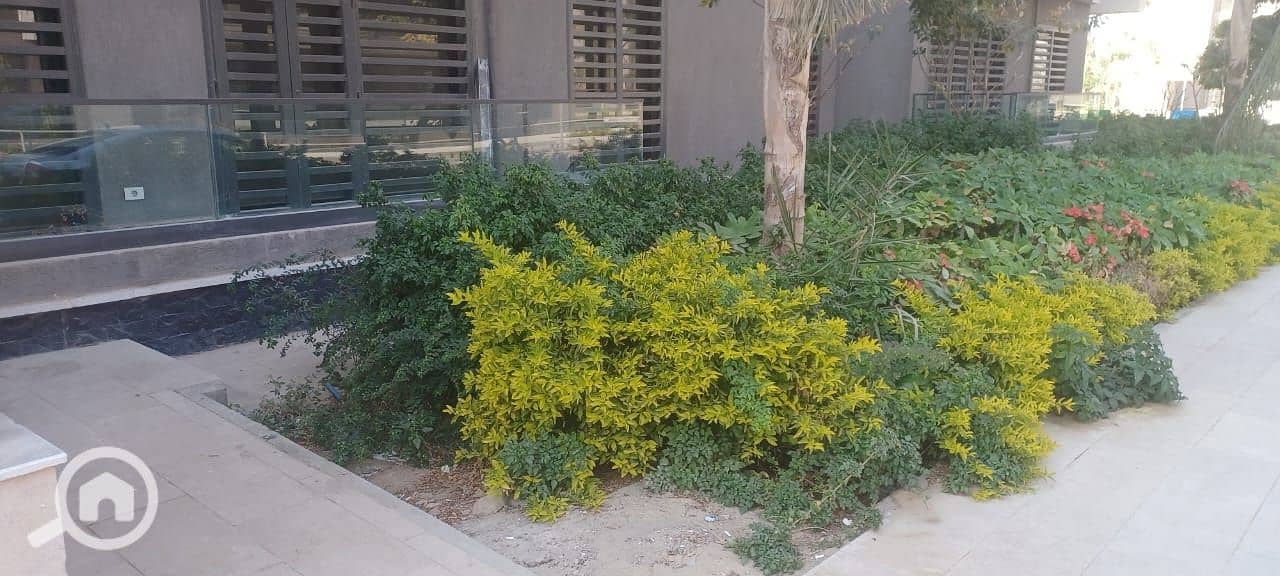 8 WhatsApp Image 2026-01-12 at 2.27. 54 PM. jpeg