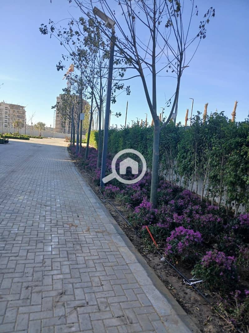 4 WhatsApp Image 2026-01-12 at 14.41. 47 (1). jpeg