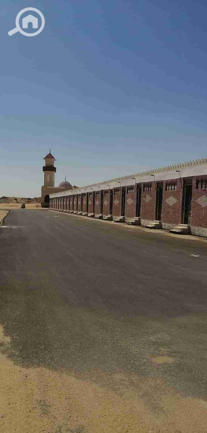 1000271133. jpg 1000271133. jpg