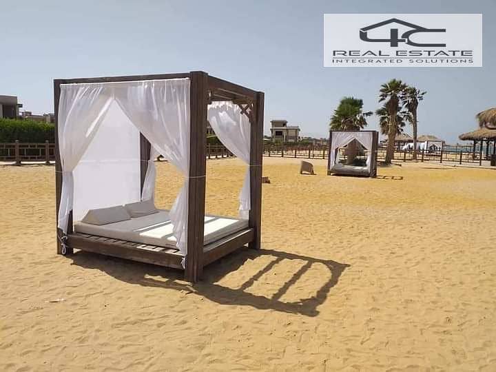 6 WhatsApp Image 2026-01-12 at 1.42. 47 PM (1). jpeg