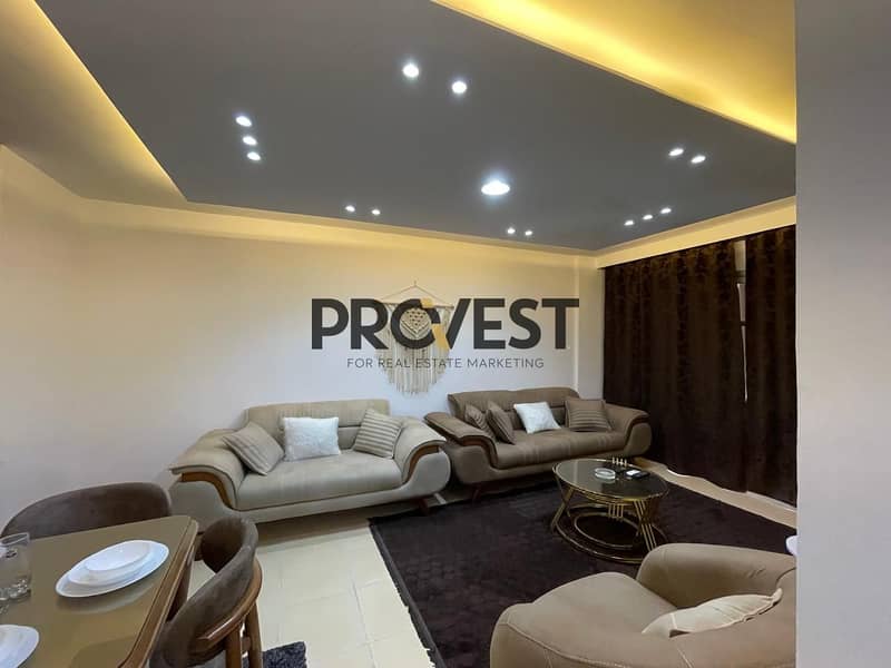 3 WhatsApp Image 2026-01-11 at 22.43. 54 (2). jpeg