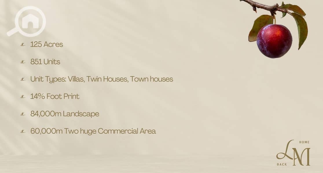 6 WhatsApp Image 2026-01-12 at 14.57. 35 (8). jpeg