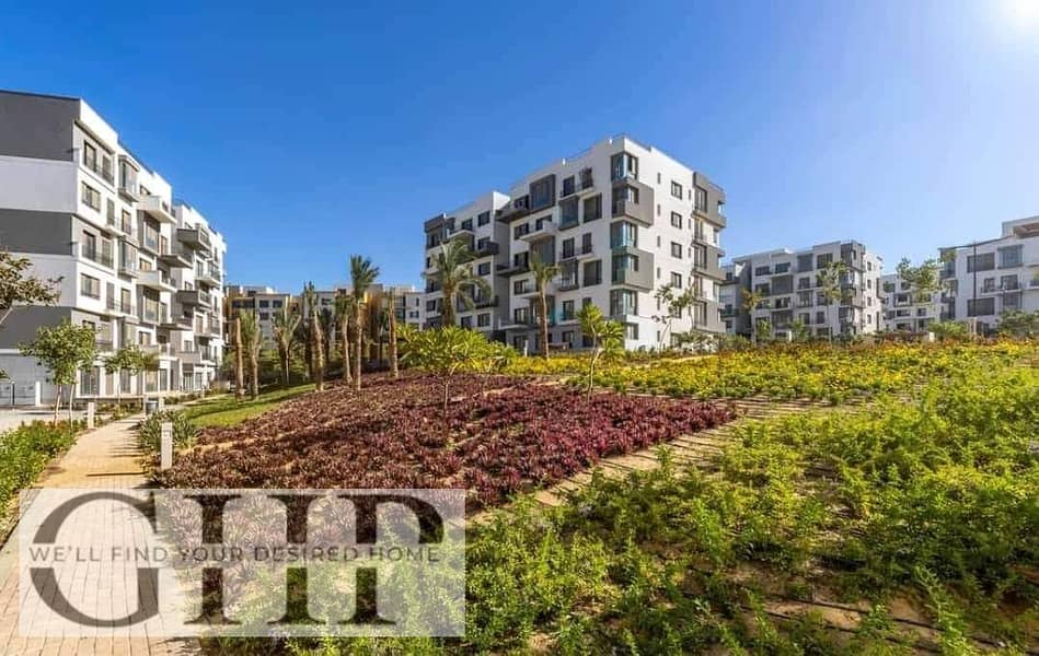 8 dd34dff9-d641-4e0b-a233-9317068d27e5. jpg