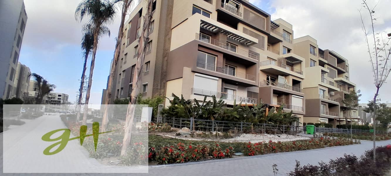 5 20260109_155422. jpg