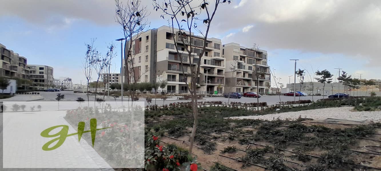 6 20260109_155516. jpg