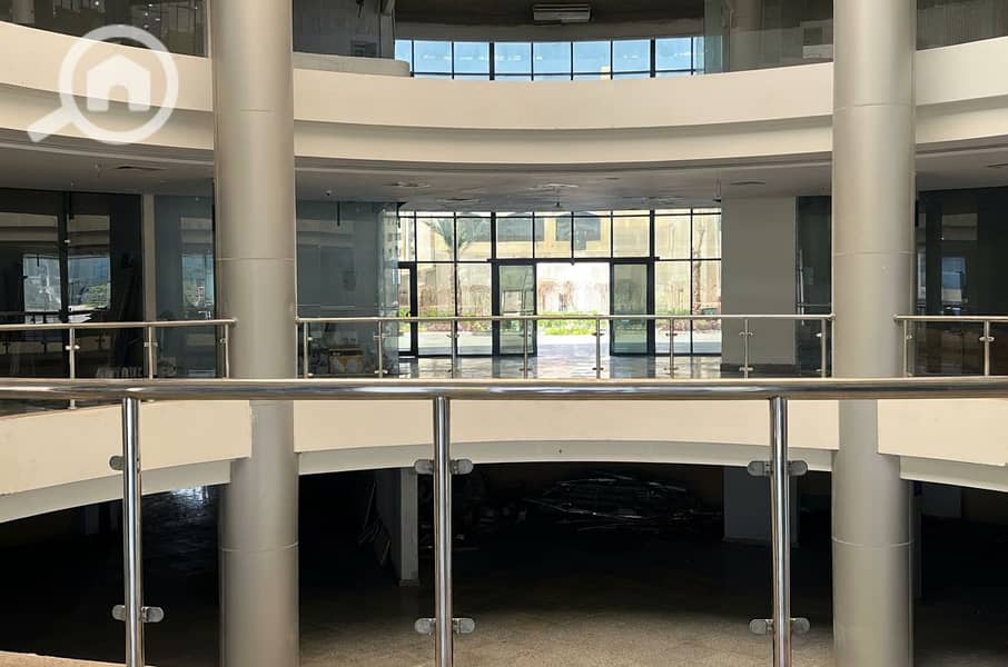 8 Generated Image September 23, 2025 - 1_55PM. png