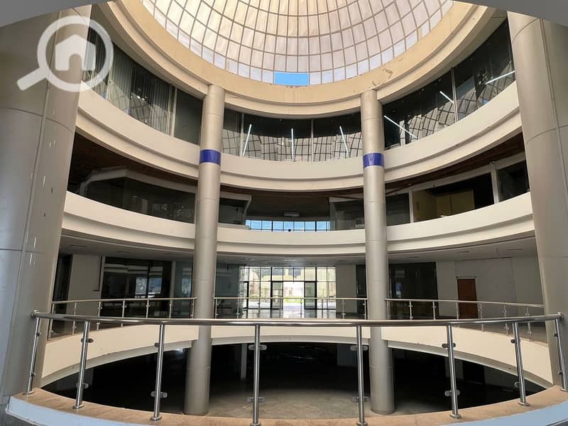 8 Generated Image September 23, 2025 - 2_06PM. png