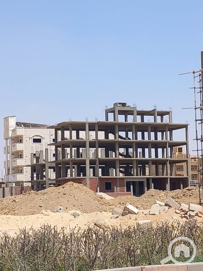 5 01bd4ccf-c3cf-48a3-ab54-ccc1d6ced51e. jpg