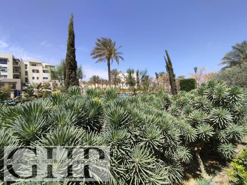 10 WhatsApp Image 2024-07-15 at 13.23. 32_7b33d079. jpg