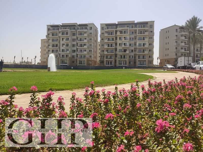 3 WhatsApp Image 2024-01-15 at 12.28. 00_07f309a7. jpg