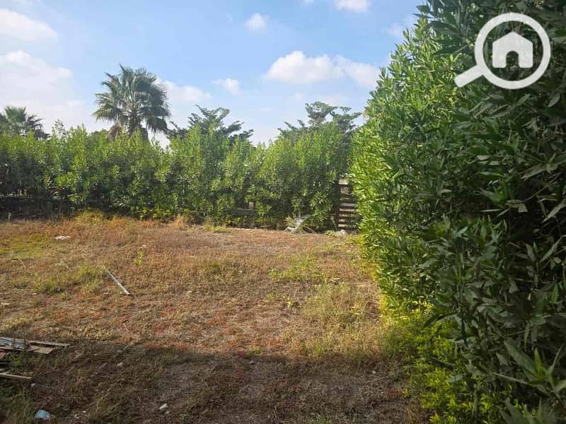 10 b5f02454-46c3-477a-b7f2-47797f8fc1a5. jpg