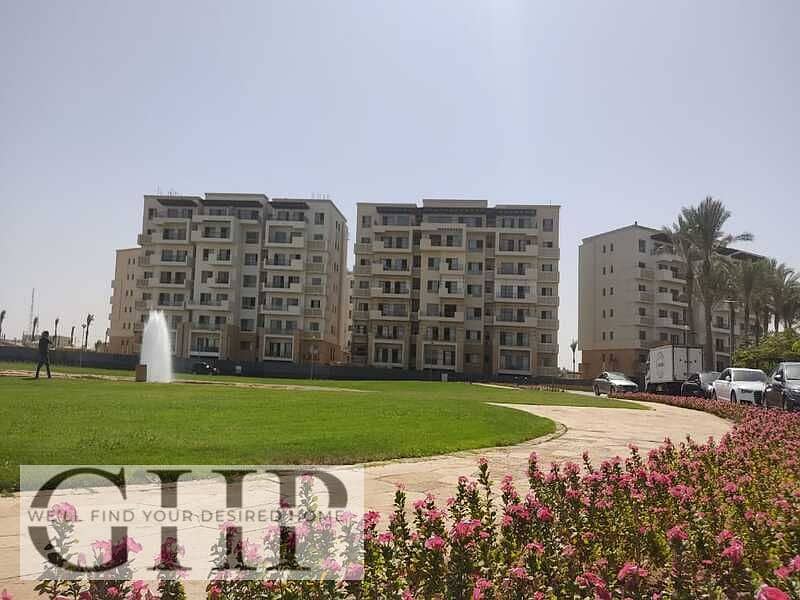 12 WhatsApp Image 2023-07-11 at 4.13. 45 PM (2). jpeg