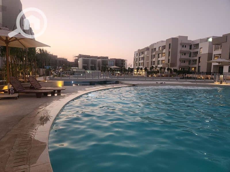 6 زهرههه _800x600. jpg