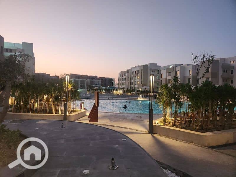 16 زهرههه _800x600. jpg