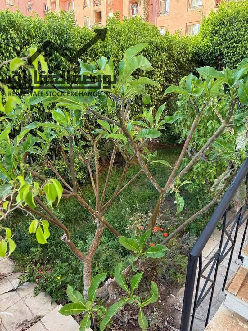 2 614685450_850284101206820_6426886072130895636_n. jpg