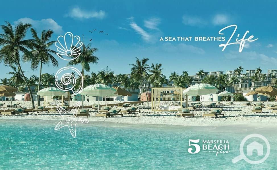 4 WhatsApp Image 2025-11-08 at 2.31. 26 PM (1). jpeg