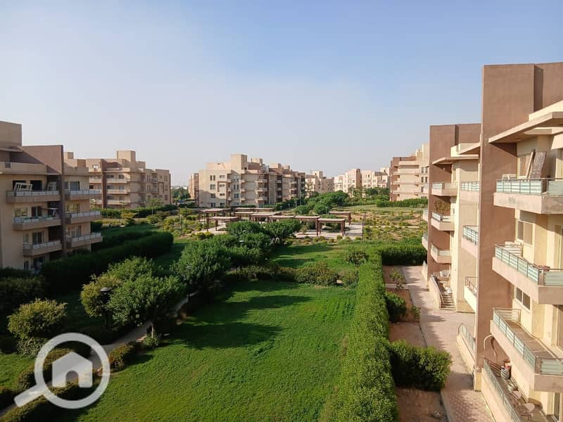 4 WhatsApp Image 2025-06-12 at 21.46. 41_c7b8fe45. jpg