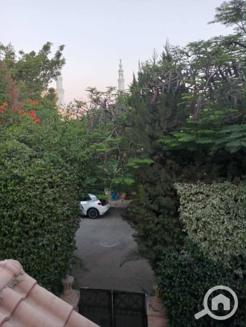 3 8dccdd51-eab5-4574-b75b-42d4e9947379. jpeg