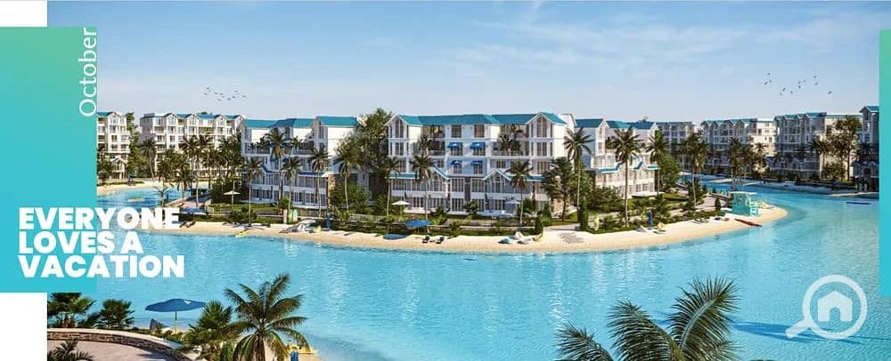 8 48570b01-6797-4cb5-a1b6-9c5a40d0f3d4. jpg