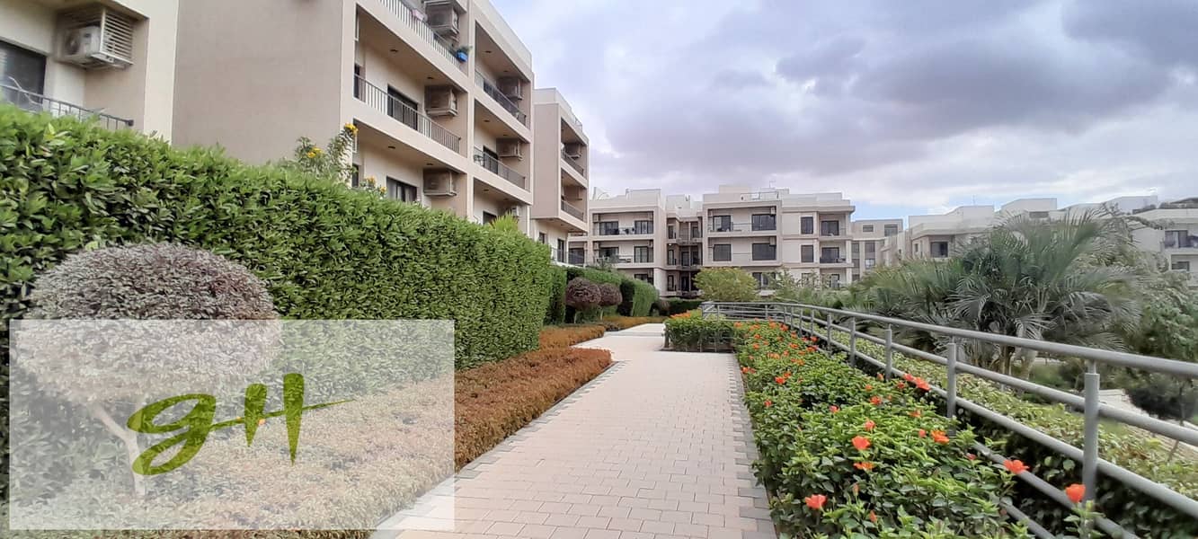 3 20251229_143117. jpg