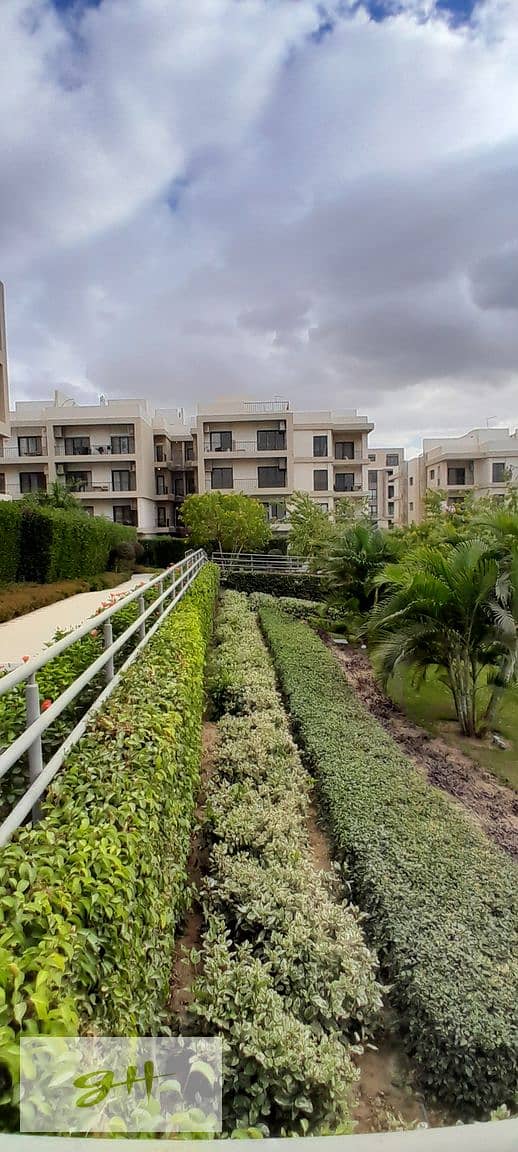 5 20251229_143142. jpg