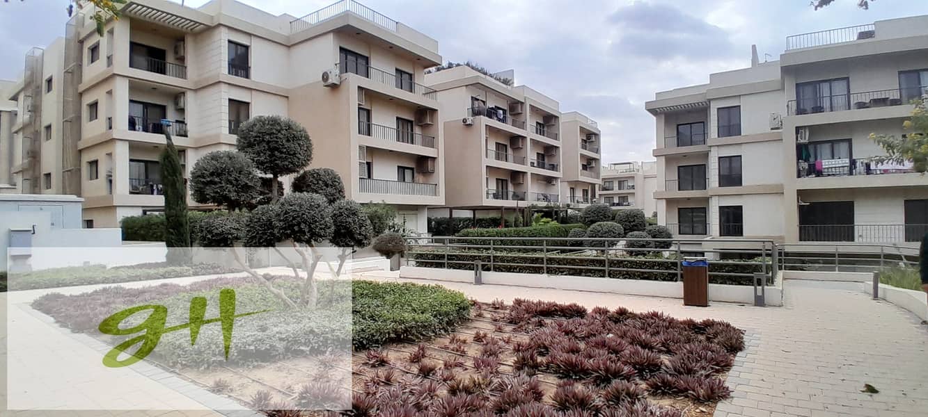 6 20251229_143310. jpg