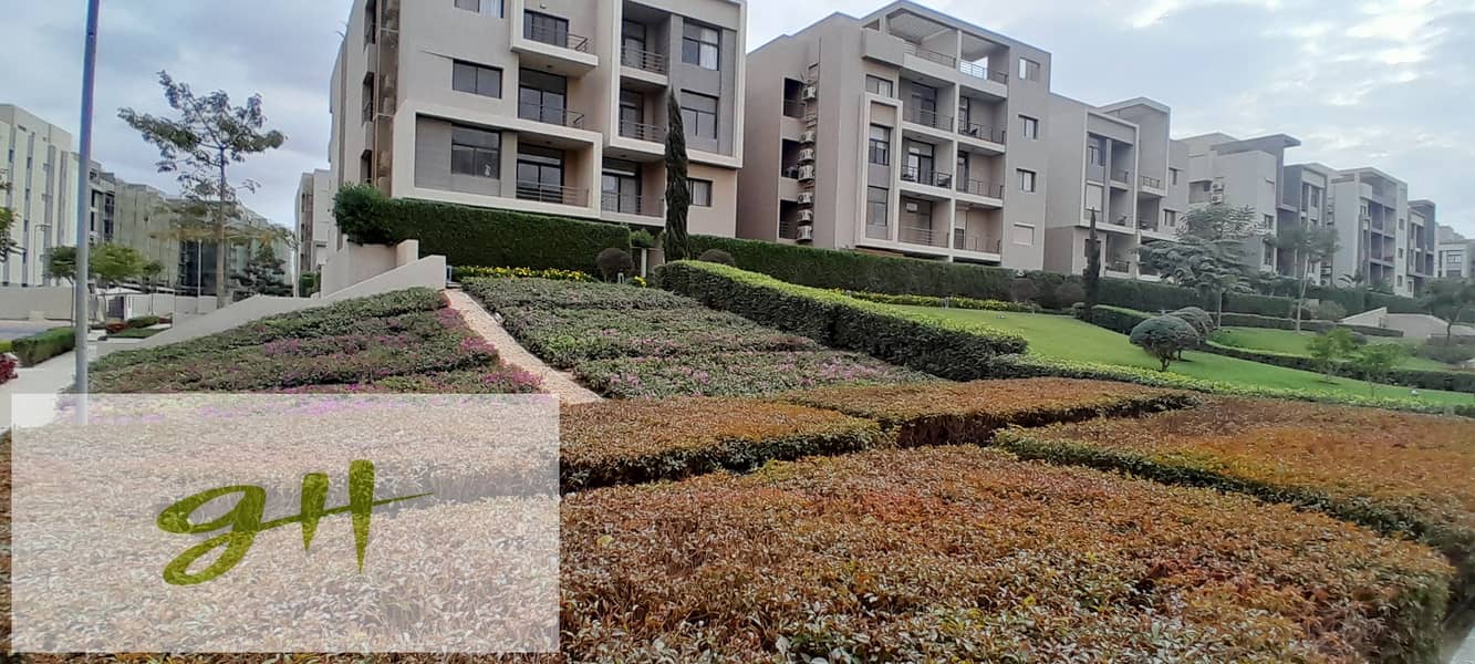 7 20251229_144242. jpg