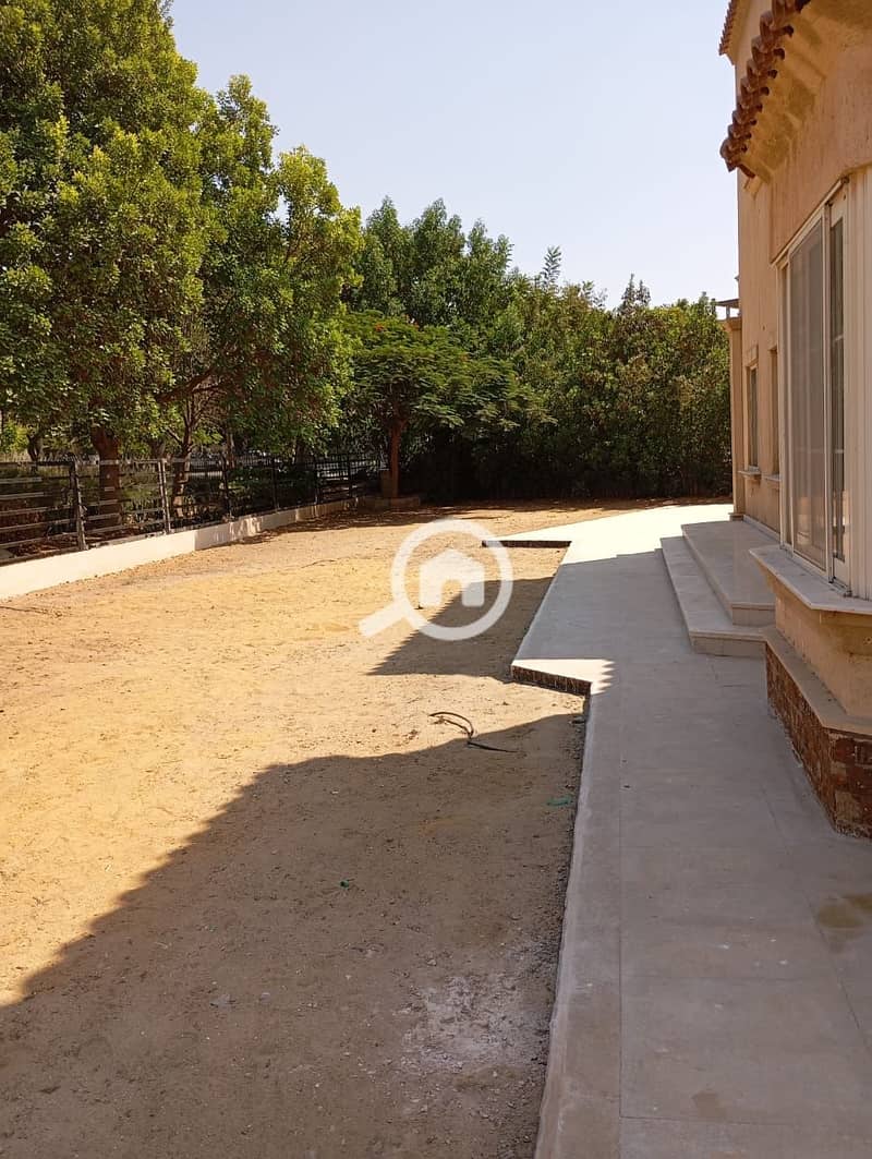 11 b397fddd-960b-47cf-881a-402be934a645. jpeg