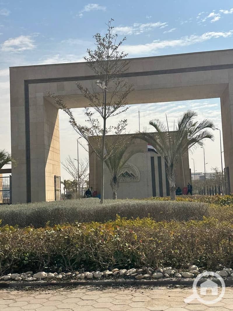 11 e9ae5809-1dca-4884-82c4-f5dcc1689c41. jpg