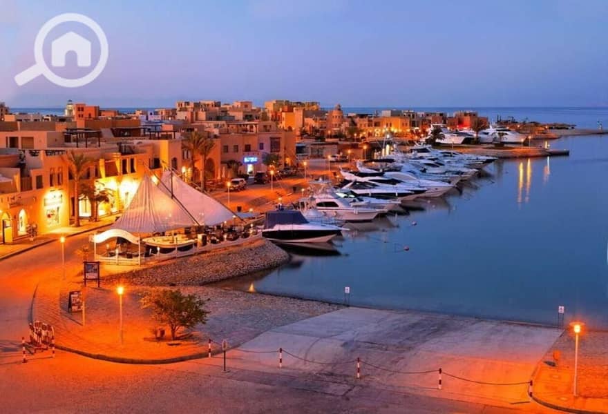 3 5199720-80fdao. jpg