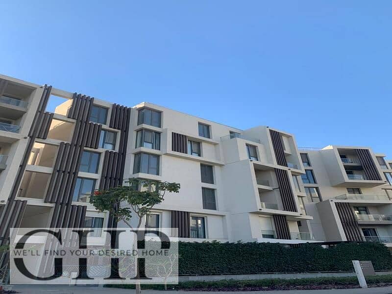 4 WhatsApp Image 2024-02-19 at 2.48. 30 PM. jpeg