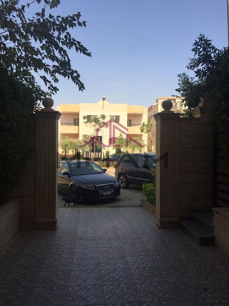 6 photo_5981101036585815106_y. jpg