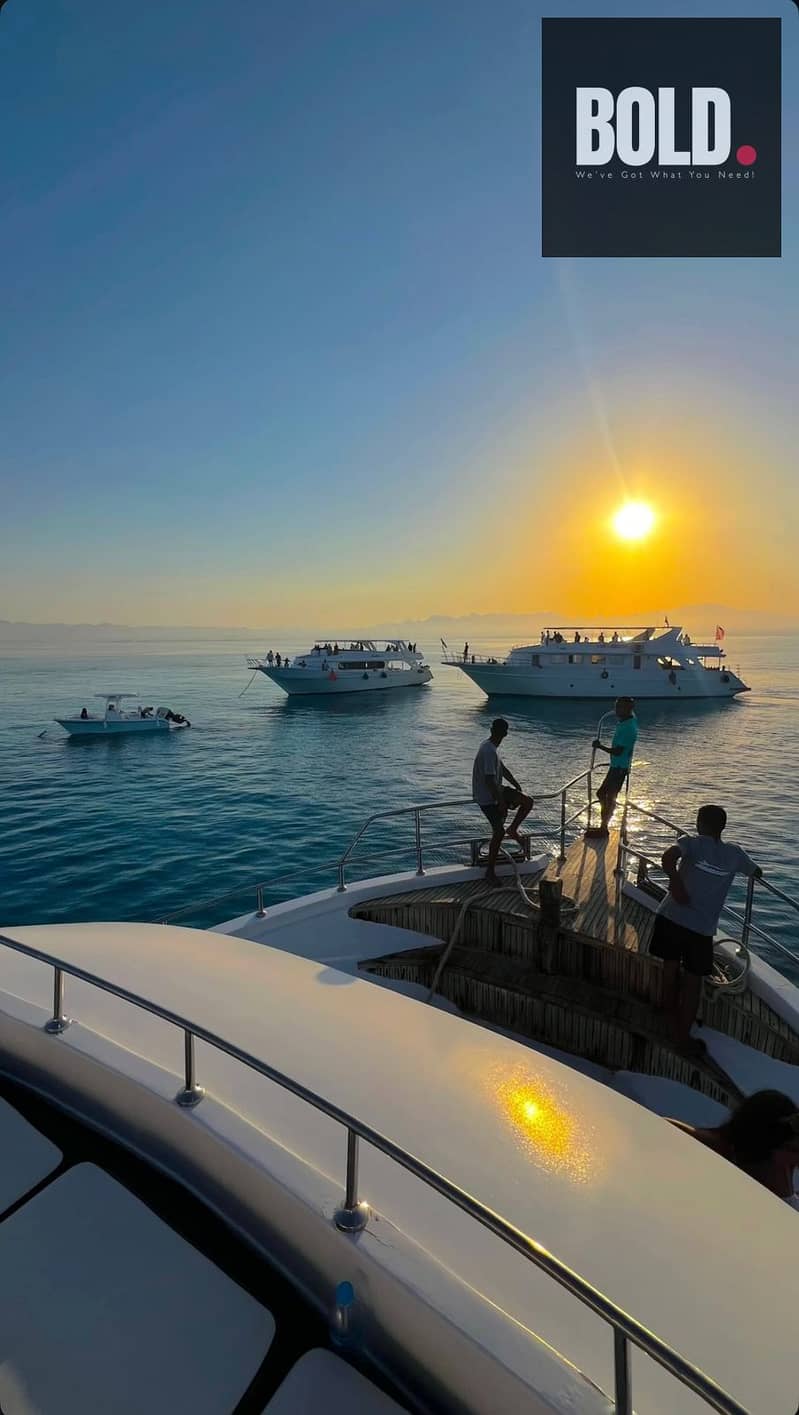 12 WhatsApp Image 2025-09-25 at 14.54. 20_d059330f. jpg