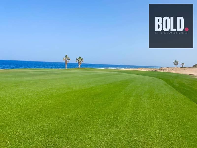 16 WhatsApp Image 2025-07-05 at 15.38. 53_ba56458b. jpg